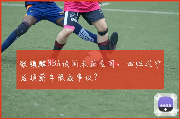 张镇麟NBA试训未获合同，回归辽宁后顶薪年限成争议？